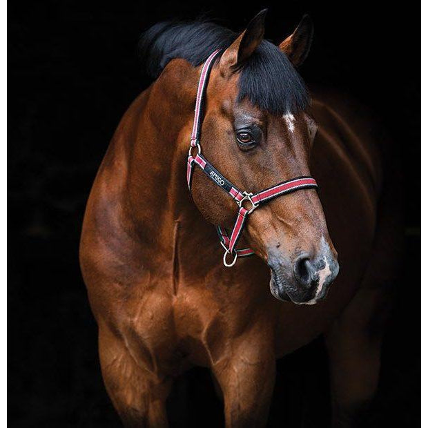 Horseware Ireland Amigo Headcollar