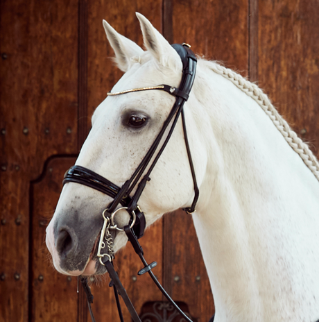 Finesse Cassidy Double Bridle #colour_black-patent-silver