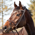 Finesse Zorro Flash Bridle #colour_brown-brown-silver