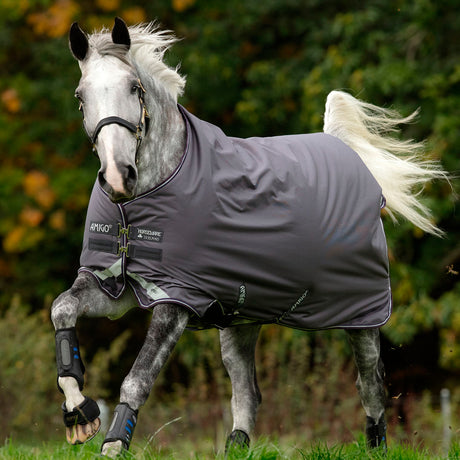 Horseware Ireland Amigo Bravo 12 Original 0g Lite Turnout Rug #colour_excalibur-plum-silver