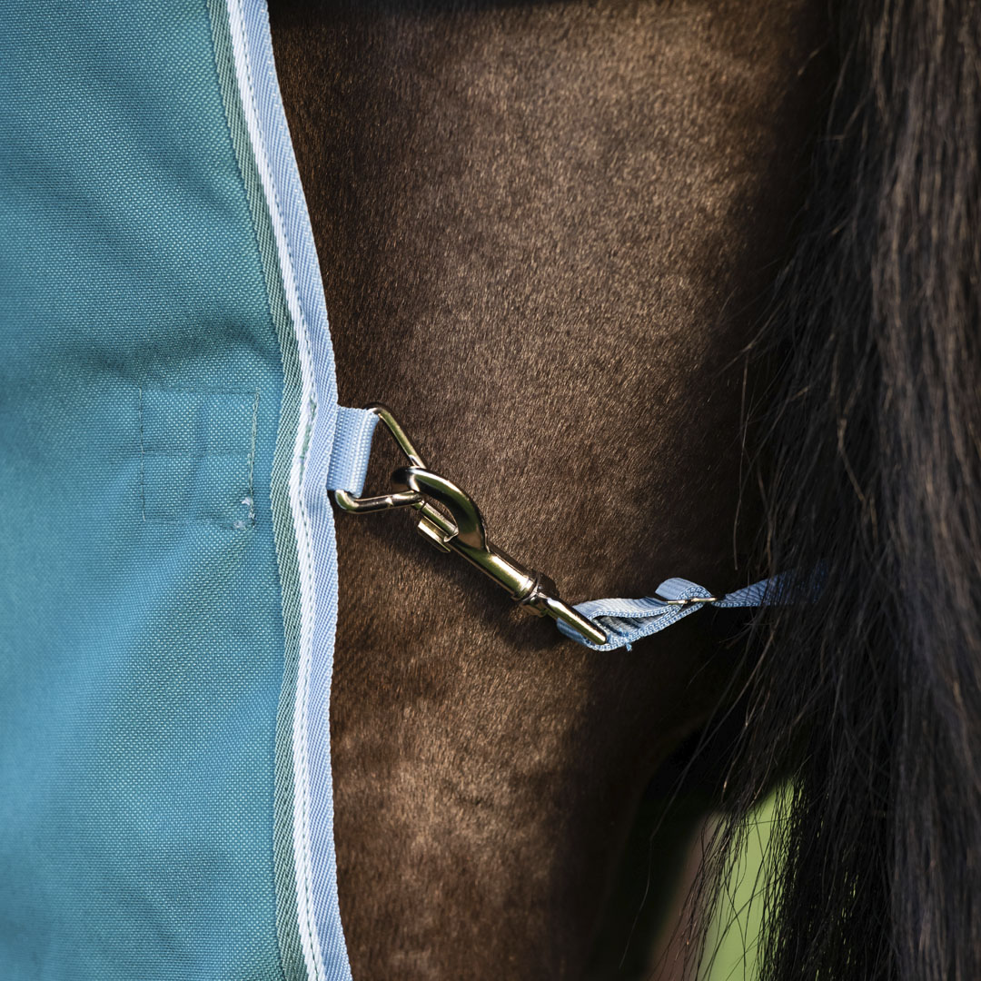 Horseware Ireland Amigo Bravo 12 Plus 400g Heavy Turnout Rug #colour_storm-green-turquoise-aqua