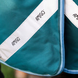 Horseware Ireland Amigo Bravo 12 Plus 400g Heavy Turnout Rug #colour_storm-green-turquoise-aqua