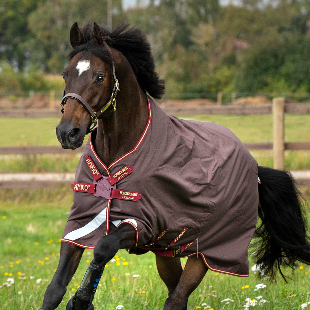 Horseware Ireland Amigo Bravo 12 Original 0g Lite Turnout Rug with Disc Front Closure
