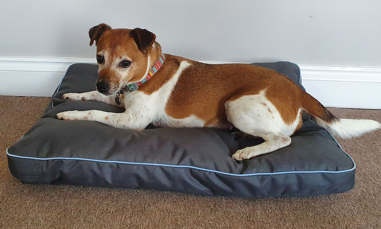 Henry Wag Brecon Adventure Bed #colour_grey