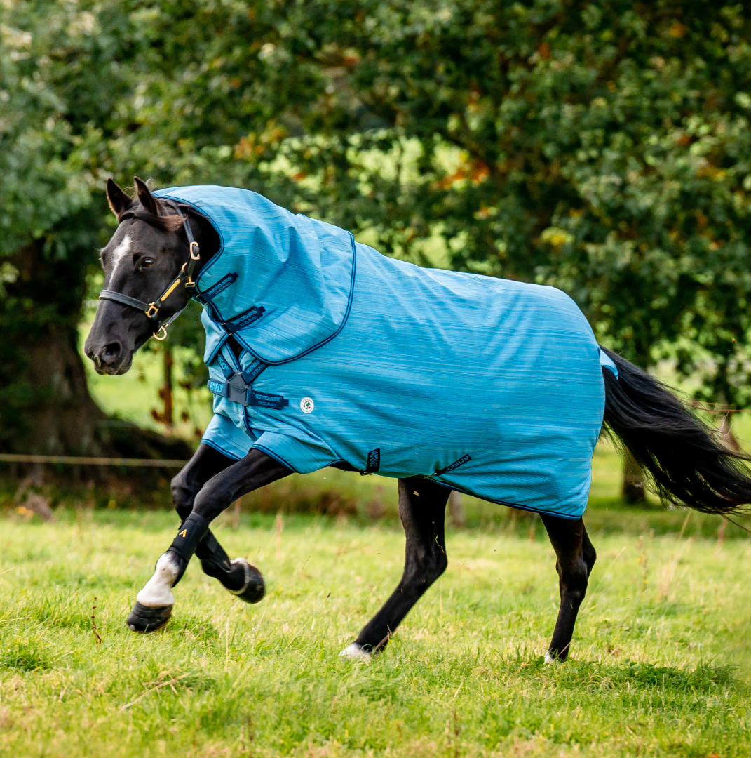 Horseware Ireland Amigo Hero 900 Revive Plus 200g #colour_ocean-blue-navy-electric-blue