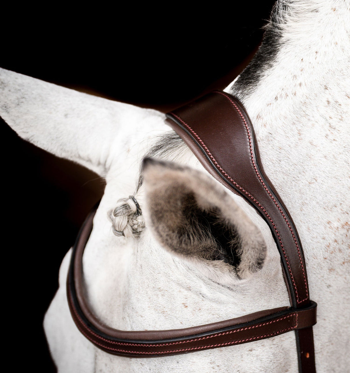 Horseware Ireland Micklem 2 Competition Bridle #colour_dark-havana