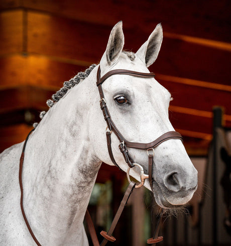 Horseware Ireland Micklem 2 Competition Bridle With Reins #colour_dark-havana