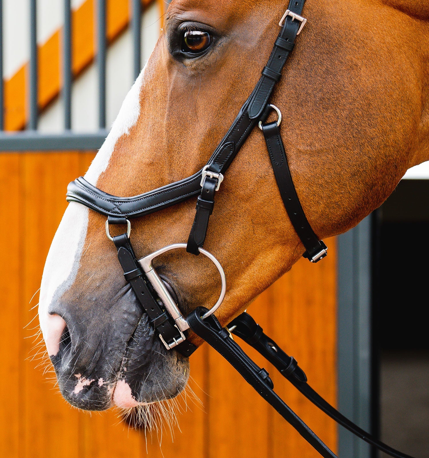 Horseware Ireland Micklem 2 Deluxe Competition Bridle #colour_black