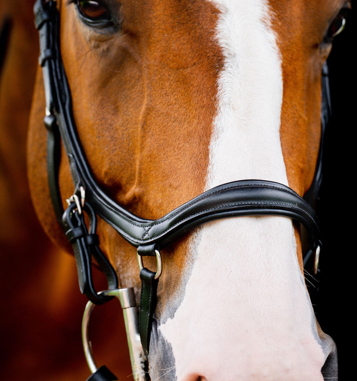 Horseware Ireland Micklem 2 Deluxe Competition Bridle With Reins #colour_black