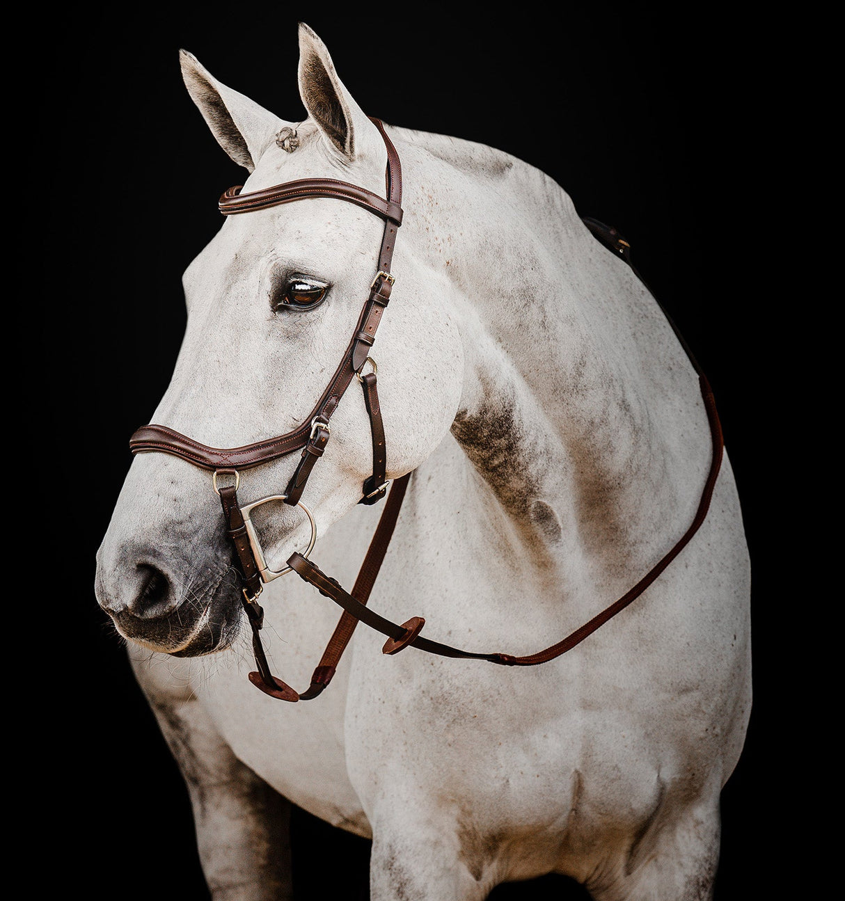 Horseware Ireland Micklem 2 Deluxe Competition Bridle With Reins #colour_dark-havana