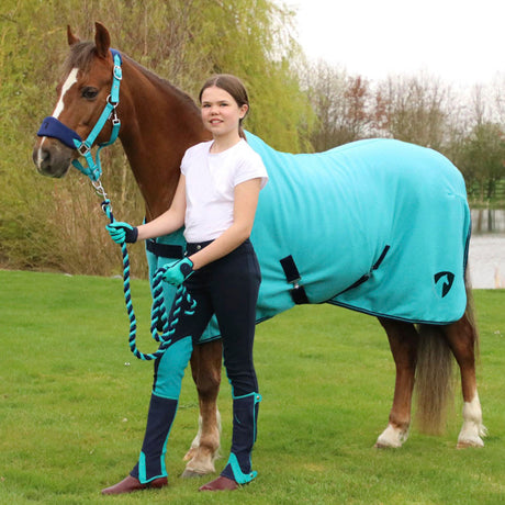 #colour_navy-teal