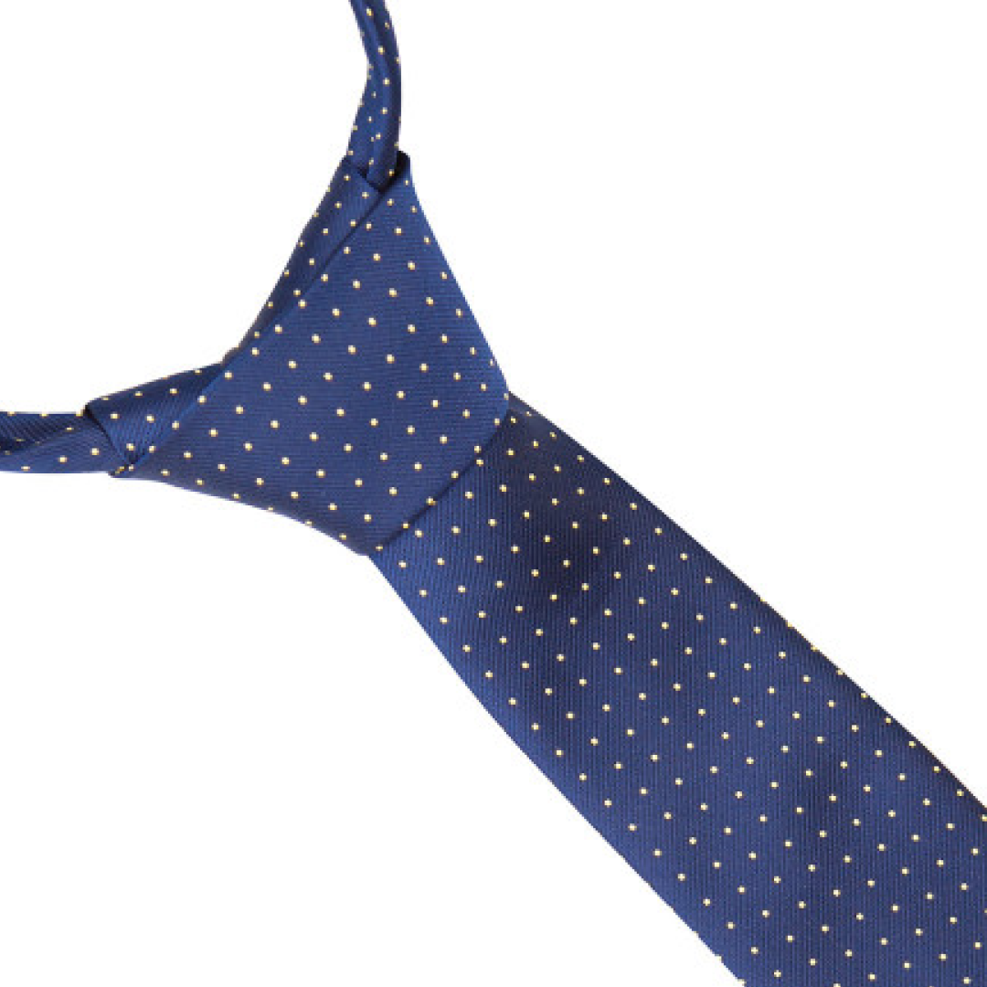 #colour_navy-gold-spot