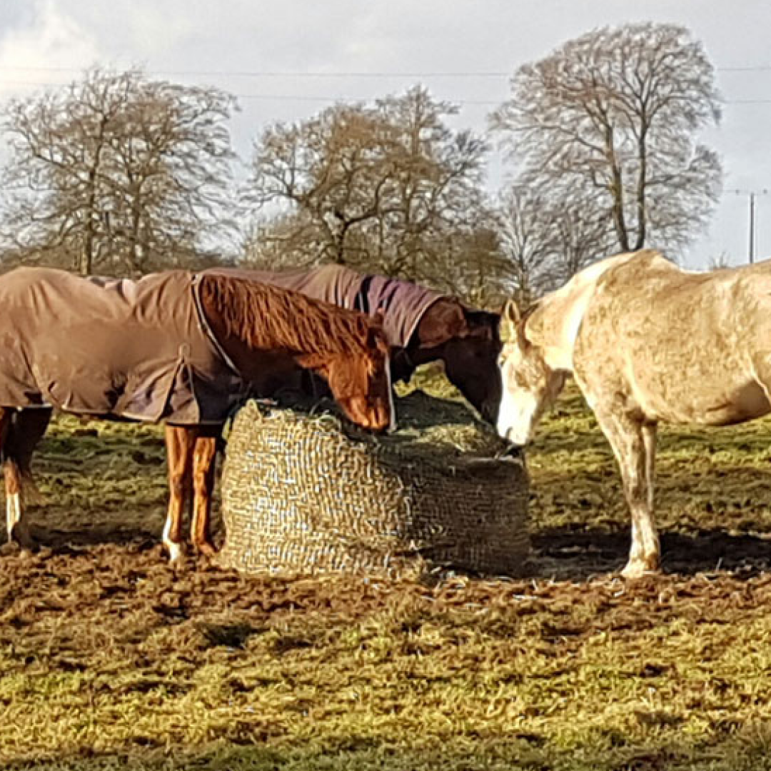 Trickle Net Round Bale Net