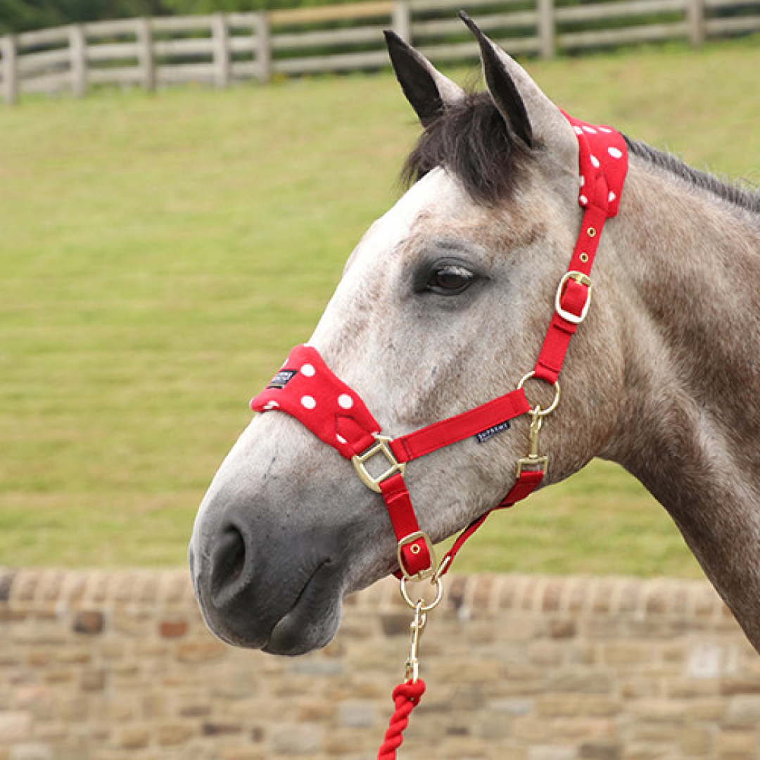 Supreme Products Dotty Fleece Head Collar & Lead Rope #colour_rosette-red