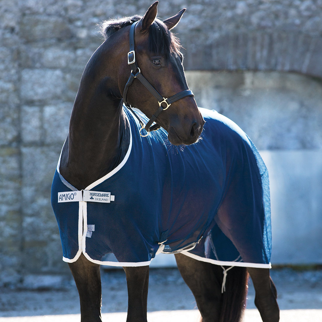 #colour_navy-silver