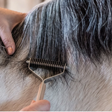 Smart Grooming Smart Manes
