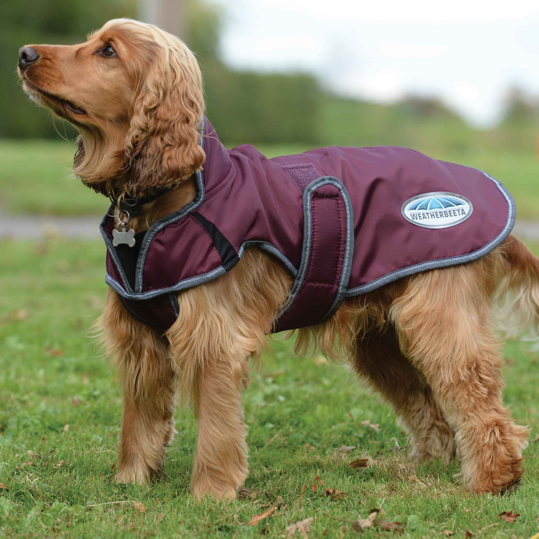 Weatherbeeta Comfitec Windbreaker Free Parka Deluxe Dog Coat #colour_maroon-grey-white