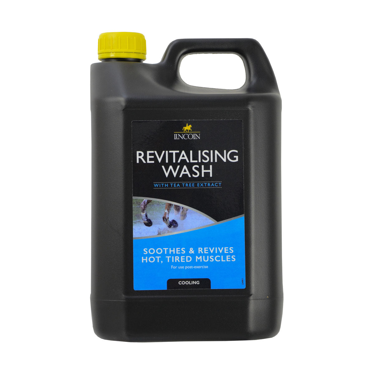 Lincoln Revitalising Wash