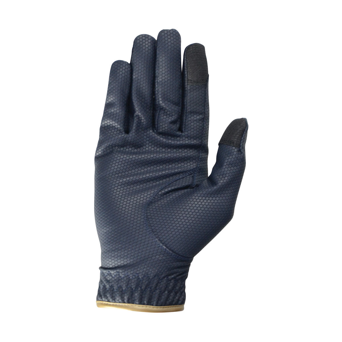 #colour_navy-gold