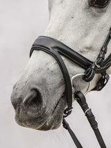 PS of Sweden Jump Off Bridle #colour_brown