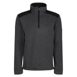 Regatta Professional Holbeck Half Zip Fleece #colour_black
