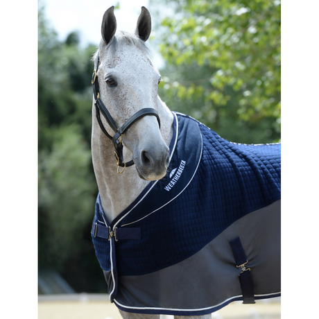 #colour_navy-grey