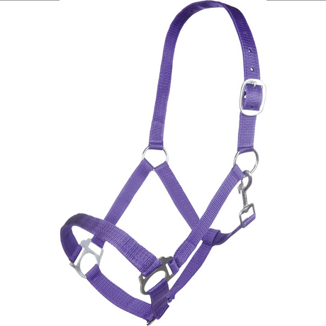 HKM Innsbruck Head Collar #colour_lilac