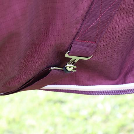 #colour_maroon