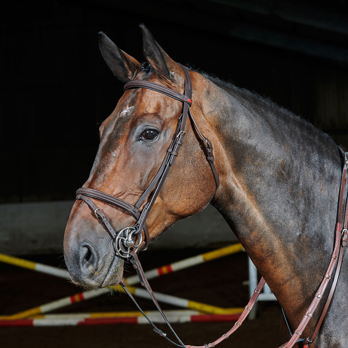 Whitaker Ready To Ride Flash Bridle #colour_havana