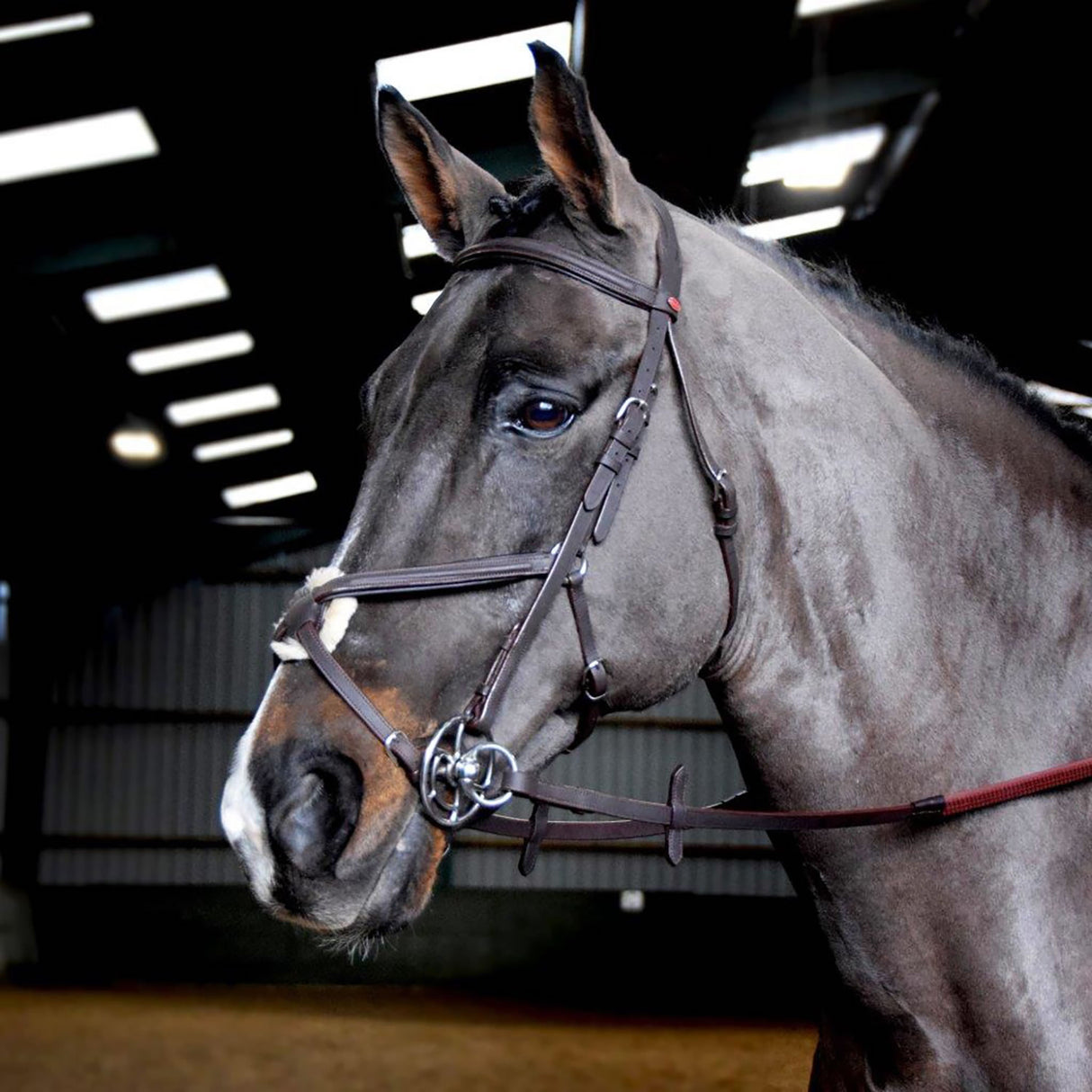 Whitaker Ready To Ride Mexican Bridle #colour_havana