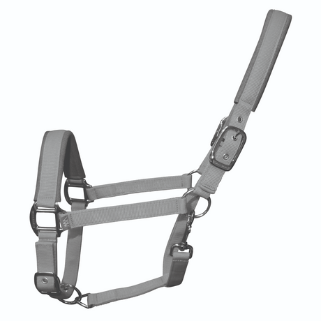Woof Wear Colour Fusion Contour Headcollar #colour_brushed-steel