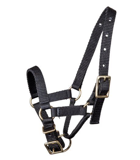 Waldhausen Alpaca Halter