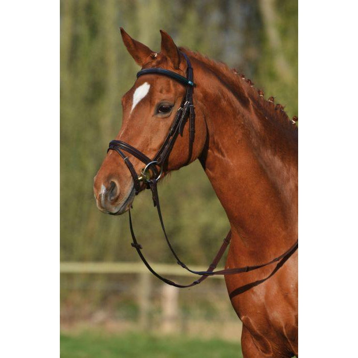 Stubben Leitrim 2300 Snaffle Bridle