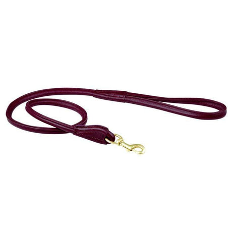 #colour_maroon