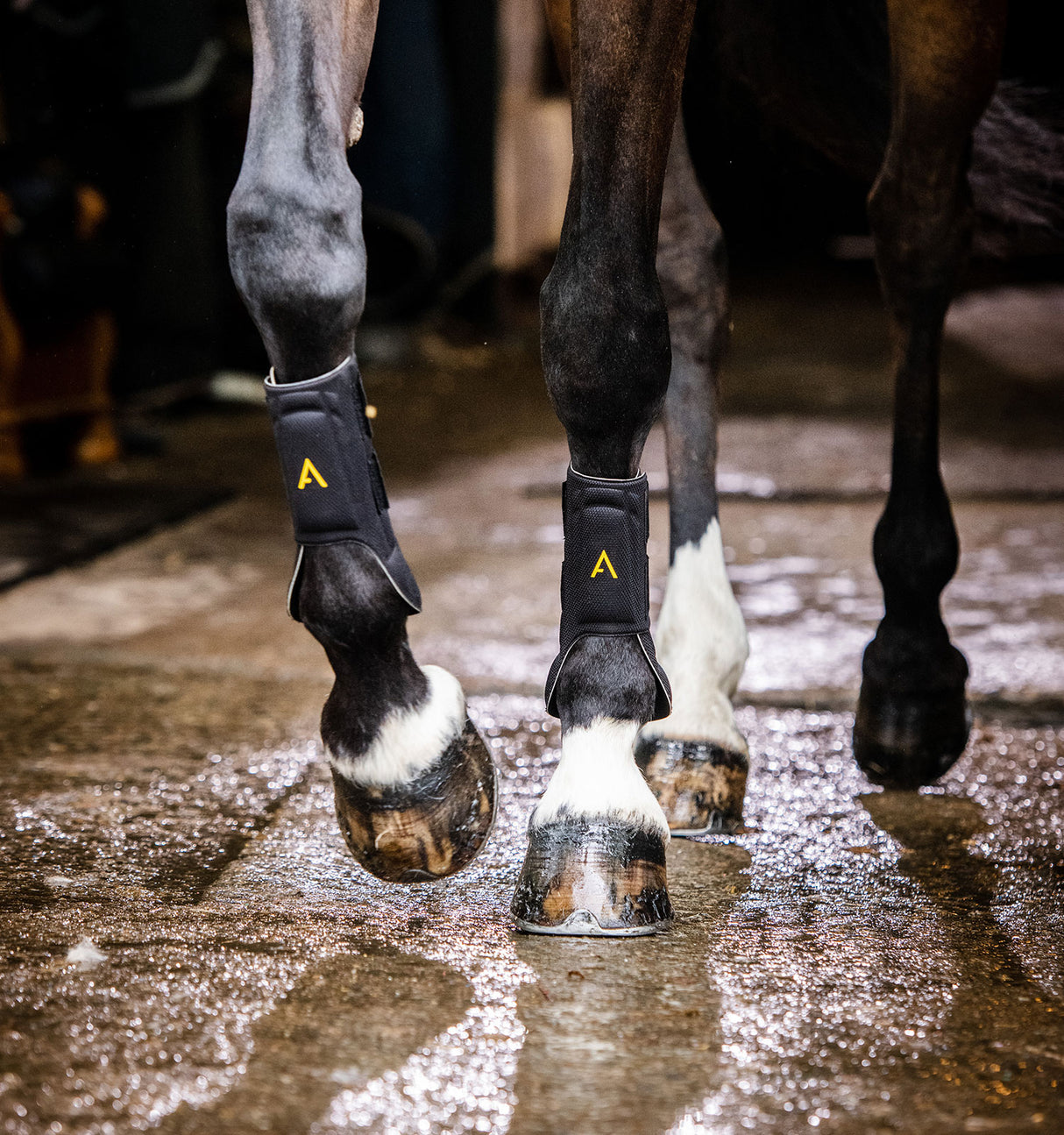 Horseware Ireland Adagio Boot #colour_black-yellow