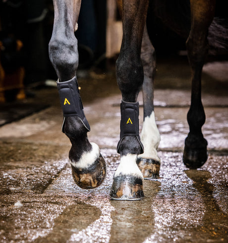 Horseware Ireland Adagio Boot #colour_black-yellow