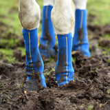 Equilibrium Equi-Chaps Close Contact Chaps #colour_navy