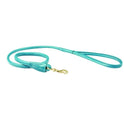 #colour_teal
