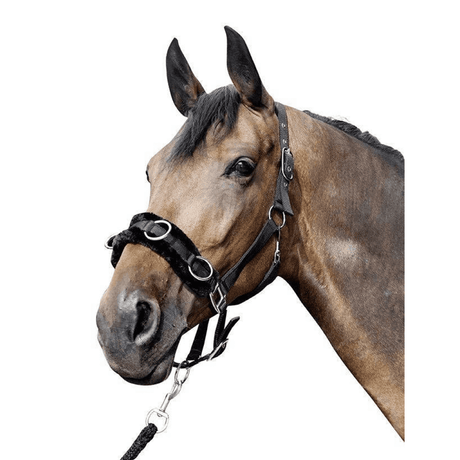 HKM Lunge Cavesson With Plush Padding #colour_black
