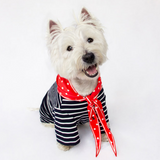 Joules Harbour Top & Neckerchief Set