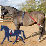 John Whitaker Training System